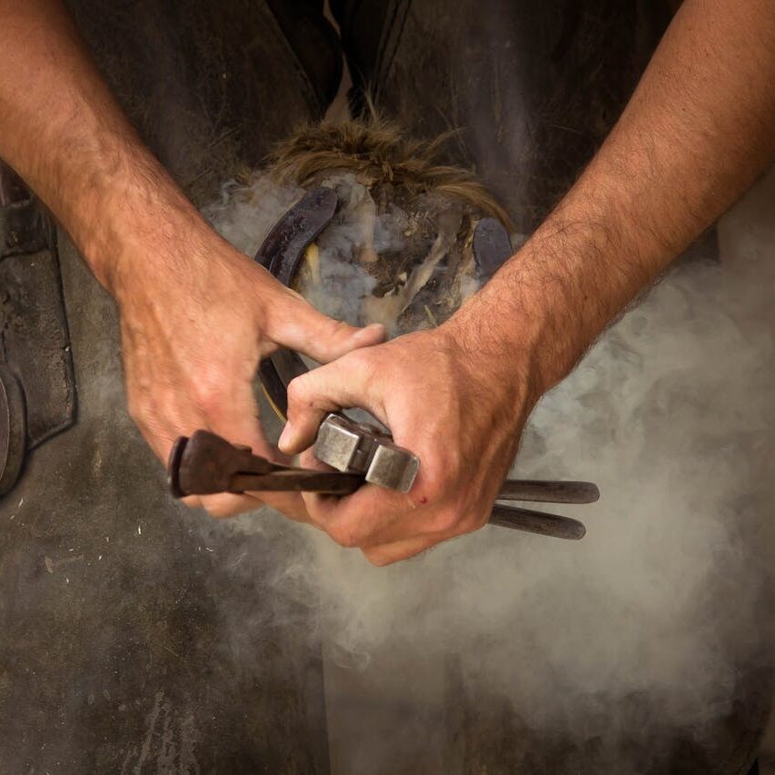Close-up of a blacksmith shoeing a horse, showcasing the craftsmanship and smoke effect.